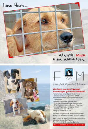 Werbeflyer First Aid Animales Mallorca